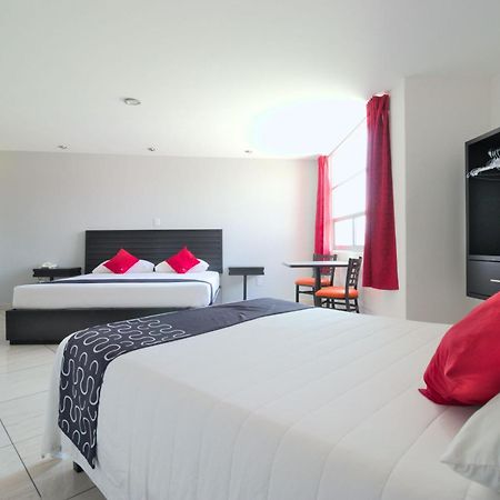 Hotel Euro Confort,Pachuca Dış mekan fotoğraf