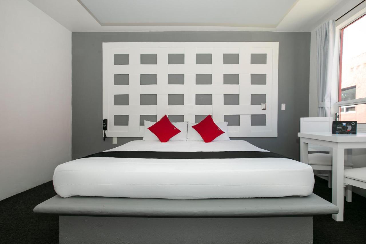 Hotel Euro Confort,Pachuca Dış mekan fotoğraf