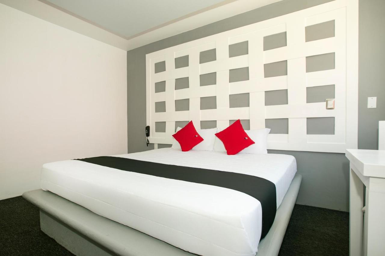 Hotel Euro Confort,Pachuca Dış mekan fotoğraf