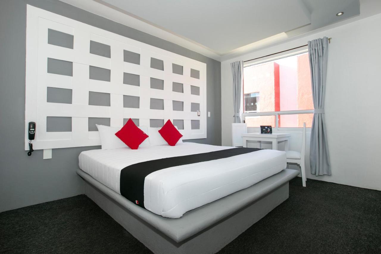 Hotel Euro Confort,Pachuca Dış mekan fotoğraf