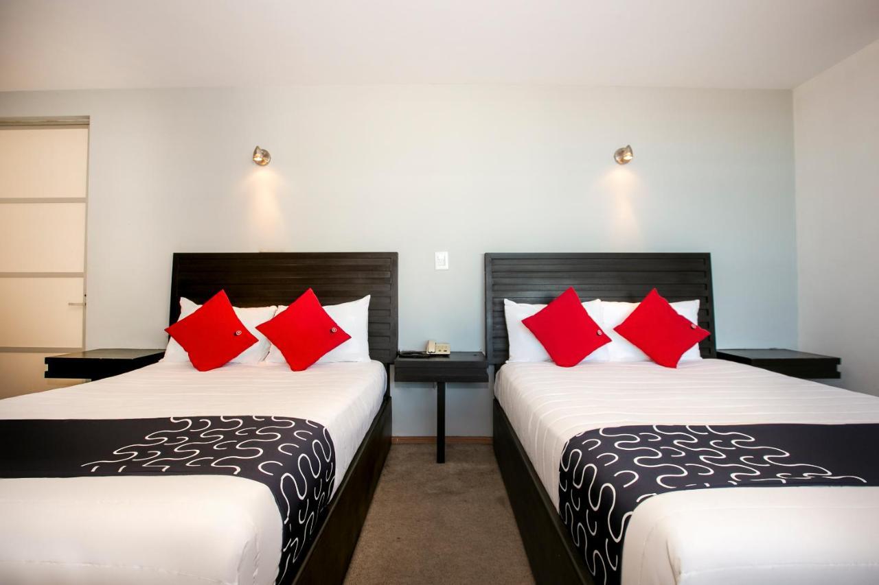 Hotel Euro Confort,Pachuca Dış mekan fotoğraf