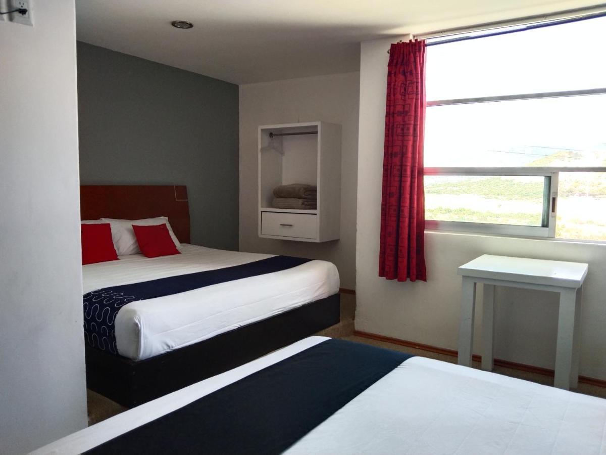 Hotel Euro Confort,Pachuca Dış mekan fotoğraf